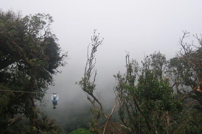 Cloud Forest Zipline + Reserva Santa Elena