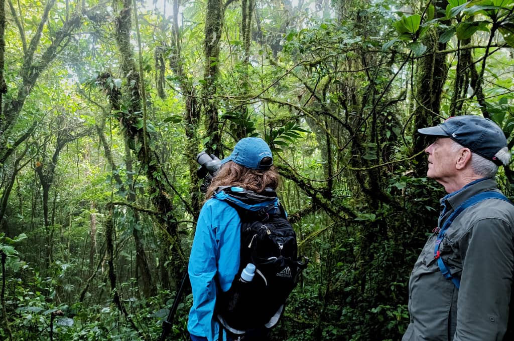 Reserva Santa Elena Guided Hike