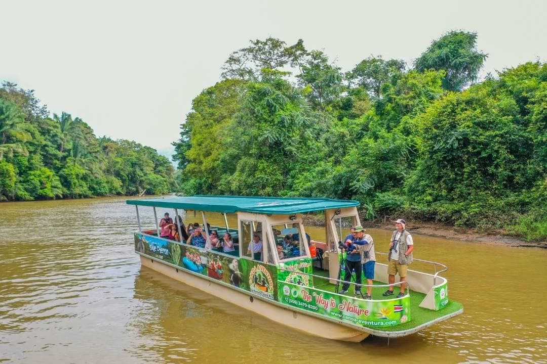 Caño Negro Wildlife Boat Safari