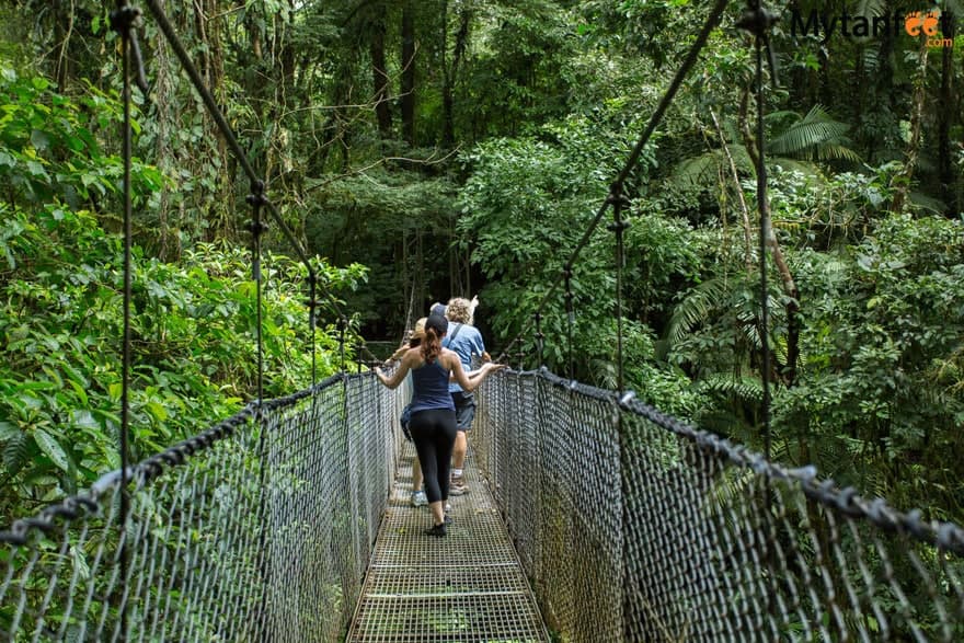 Hanging Bridges & Sloth Tour