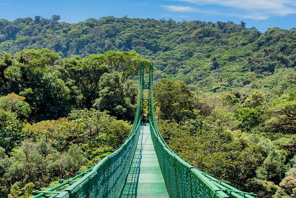 Hanging Bridges Adventure Monteverde (Guided)